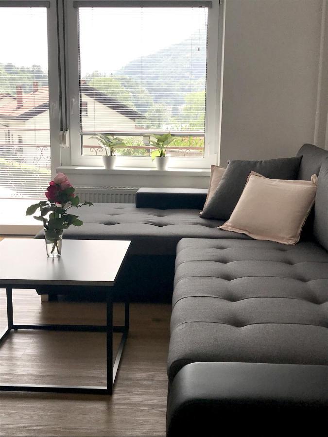 Apartment Loyd, Tolmin - โมสต์ นา โซชิ ภายนอก รูปภาพ