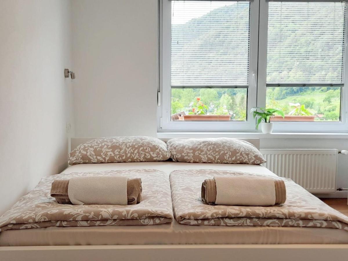 Apartment Loyd, Tolmin - โมสต์ นา โซชิ ภายนอก รูปภาพ