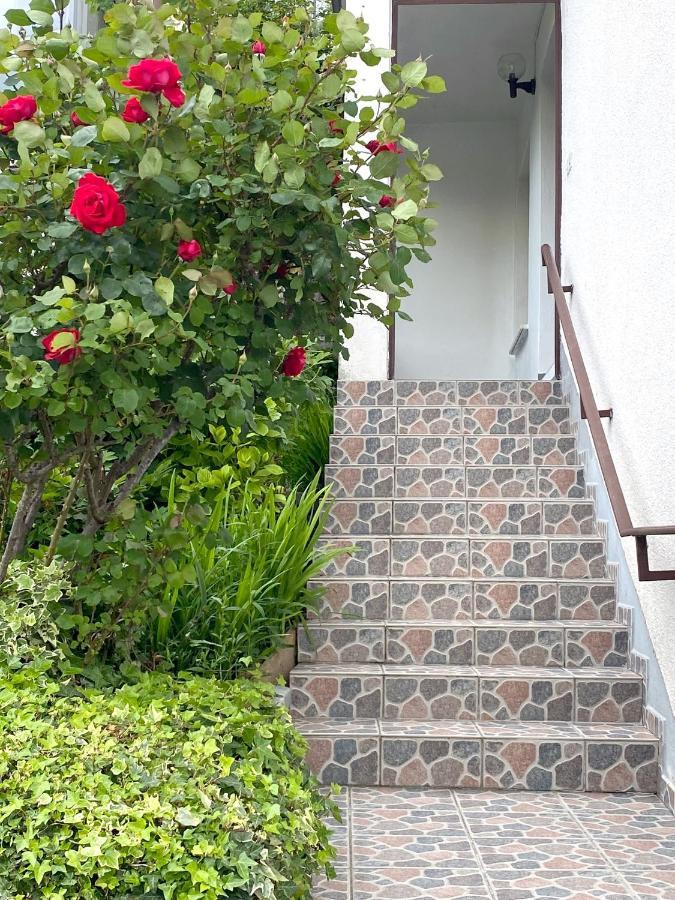 Apartment Loyd, Tolmin - โมสต์ นา โซชิ ภายนอก รูปภาพ